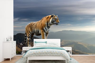 Behang - Fotobehang Tijger - Berg - Natuur - Landschap - Breedte 525 cm x hoogte 350 cm