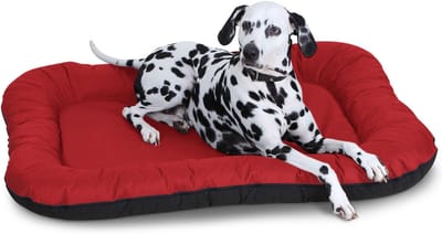 Knuffelwuff waterbestendig hondenbed voor binnen en buiten Lucky oversized XXXL 140 x 105cm rood
