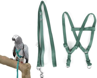 Verstelbare Vogelharnas en Leash voor Papegaaien, Geschikt voor Ara en Kaketoes, Ideaal voor Buitenactiviteiten