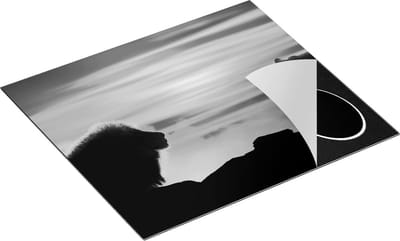 Chefcare Inductie Beschermer Leeuw en Tijger - Silhouet - Zonsopkomst - Zwart Wit - 60x50 cm - Afdekplaat Inductie - Kookplaat Beschermer - Inductie Mat