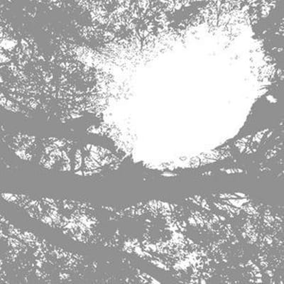 Comets On Fire - Field Recordings From The Sun (LP)