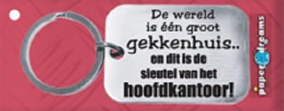 Paper Dreams | RVS Sleutelhanger | De wereld is een groot gekkenhuis!