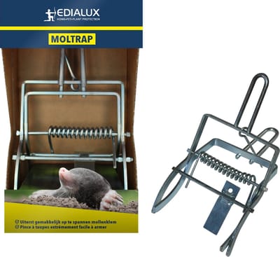 1 Stuk Moltrap - Klassieke mollenklem