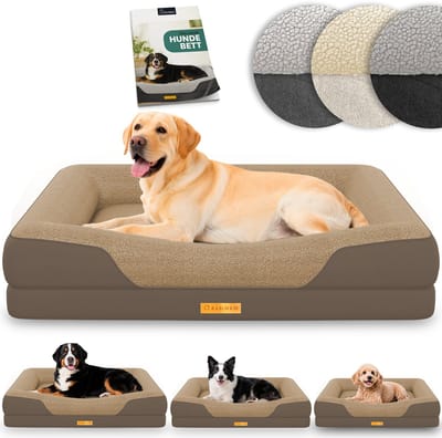 ELONEO Orthopedisch Hondenbed – L – Bruin