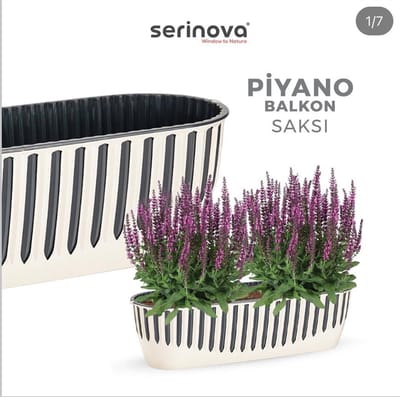 2 Piano bloembakken crème antraciet 8L Serinova vensterbank balkonbakken plantenbak 51cm UV bestendig