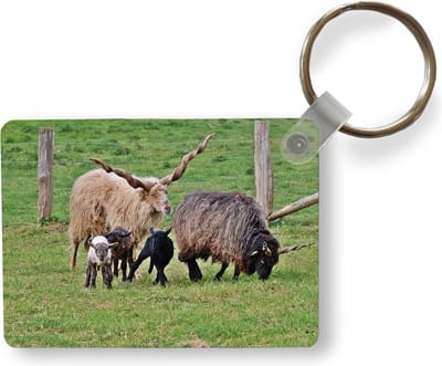 Sleutelhanger - Schapen - Gras - Lam - Hoorn - Uitdeelcadeautjes - Plastic