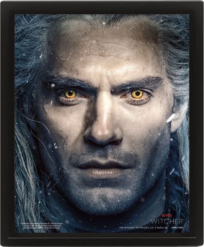The Witcher Framed 3D Effect Poster 26 x 20 cm