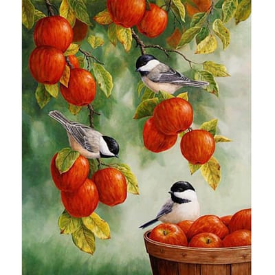 Diamant Schilderij Rode Appels & Vogels Volledig Rond Diamant Mozaïek Borduurwerk Verkoop Afbeelding van Strass 20X30CM red