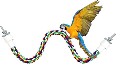 Vogel Zitstok - Klimtouw Speelgoed - Vogelkooi Activiteit - Roestvrij Staal - Diverse Lengtes - Kleurrijk