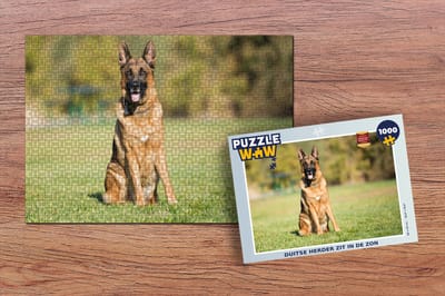 Puzzel Duitse Herder zit in de zon - Legpuzzel - Puzzel 1000 stukjes volwassenen