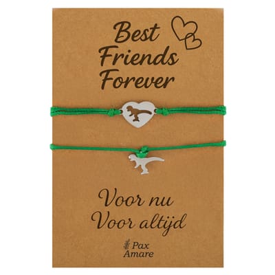 Vriendschapsarmbandjes voor 2 "Best Friends Forever" - Verschillende Dino's - BFF Armbandjes met Persoonlijk Cadeau Kaartje - Zilverkleurig & Groen - Elastisch Verstelbaar - Pax Amare