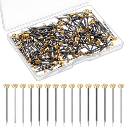 Dailygoods- Spijkers 150 Stuks - Roestvrijstalen Spijkers - Wandnagels - Fotolijsten - Opbergdoos - 25 mm Lengte - Betonnagels