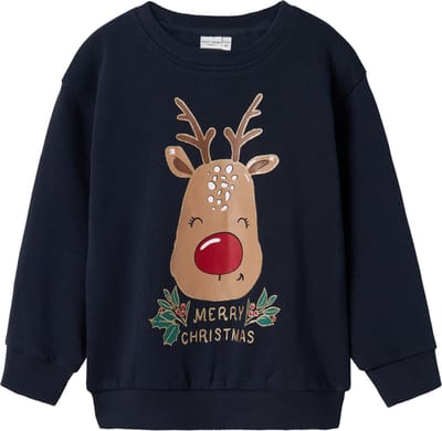 NAME IT NMFVISMAS LS NREG SWEAT BRU Meisjes Trui - Maat 122/128