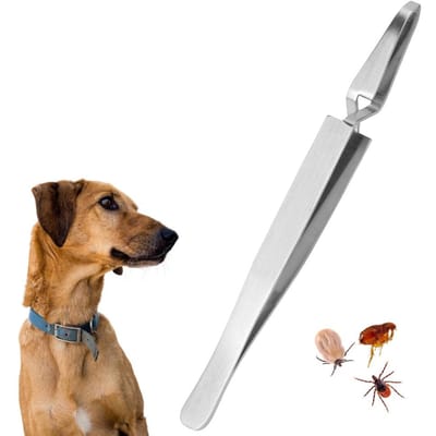 Roestvrijstalen Teken Luizen Vlooien Pincet Clip Tang voor Huisdier Hond Kat Benodigdheden white