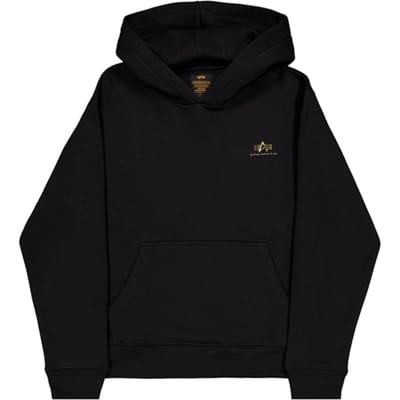 Hoodie met klein logo Alpha Industries Basic TPU