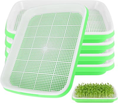 Germination Bowl voor het Kiemen van Zaden - Zaad Spruit Tray 32cm x 25cm voor Microgreens, Waterkers, Mungbonen en Tarwegras