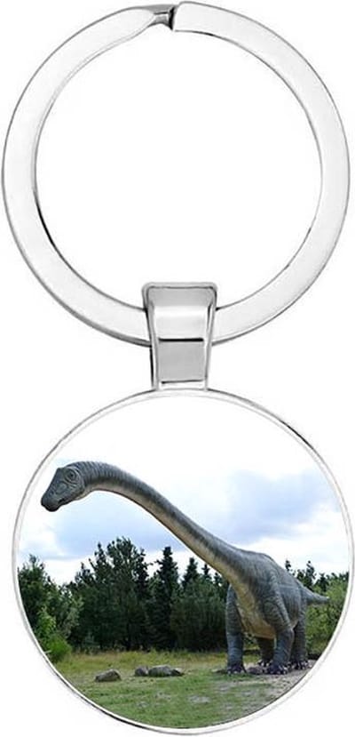 Akyol - Dinosaurus sleutelhanger - Dino - Dinosaurus - Langnekdinosaurus - sinterklaas cadeau - Sauropoda - Sauropodomorpha T-rex - sleutelhanger