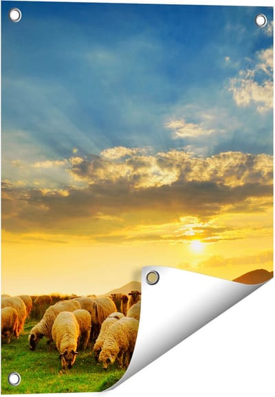 Gards Tuinposter Kudde Schapen op het Gras bij Zonsondergang - 40x50 cm - Tuindoek - Tuindecoratie - Wanddecoratie buiten - Tuinschilderij