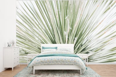 Behang - Fotobehang Groen - Bladeren - Natuur - Breedte 295 cm x hoogte 220 cm