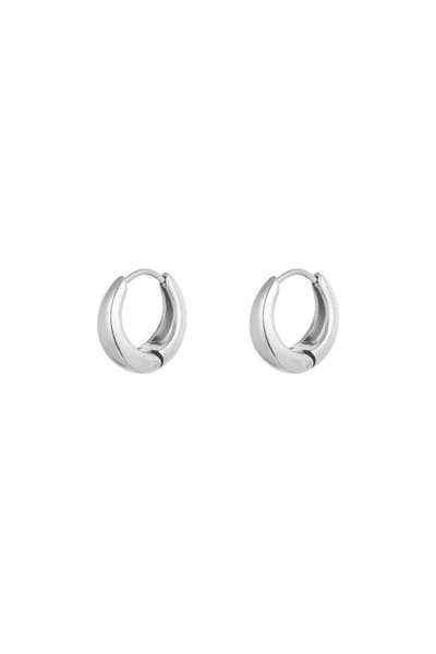 Kleine oorringen zilver | Oorbellen | Dames sieraden | Nikkelvrij | Stainless steel | Verkleurt niet | Trendy | Hoops | Cadeau