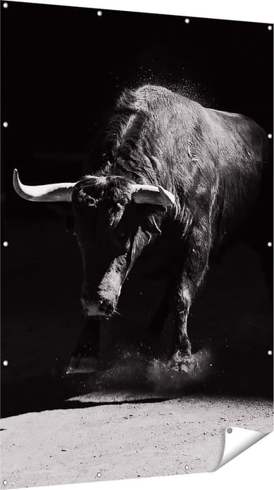 Gards Tuinposter Stier in de Arena - Zwart Wit - 120x180 cm - Tuindoek - Tuindecoratie - Wanddecoratie buiten - Tuinschilderij