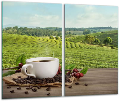 TMK ArtDeko - Snijplank - 30x52 cm - Inductie - Glas