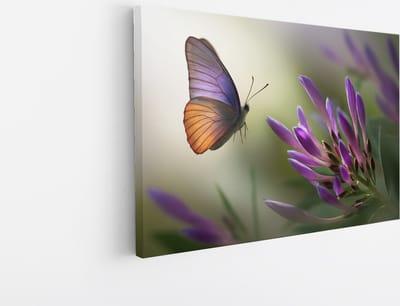 Saammp Canvas Schilderij - Vlinder naar paarse bloem - Natuur - Dieren - 30x20 - Foto op canvas - Wanddecoratie - muurdecoratie Woonkamer - Slaapkamer decoratie - Canvas Print