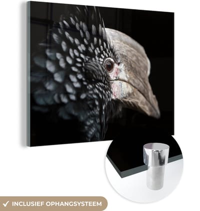 MuchoWow® Glasschilderij 160x120 cm - Schilderij acrylglas - Vogel - Snavel - Veren - Foto op glas - Schilderijen