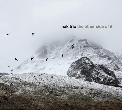 Other Side Of If - Nak Trio