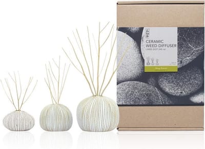 FT 517241 Ceramic Diffuser Set 240ml Dee