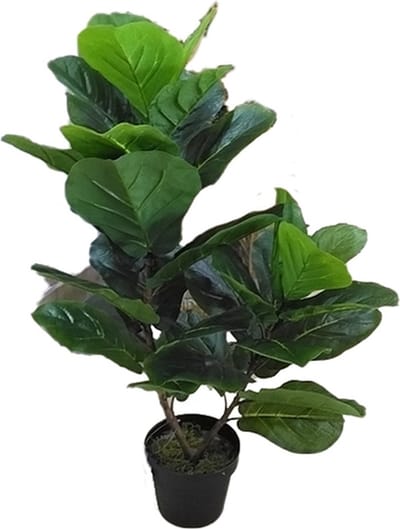Kunst Fiddle tree - 85 cm