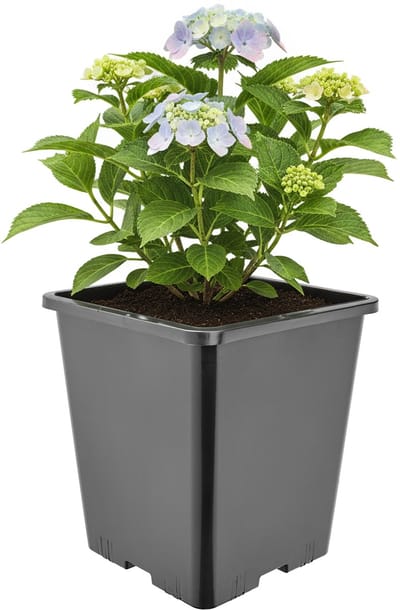 Garronda Hoge vierkante kunststof bloempot met drainagegaten voor tuin (Zwart, 20,5 x 20,5 x 23,5 cm (7L)) GD-KW-HS