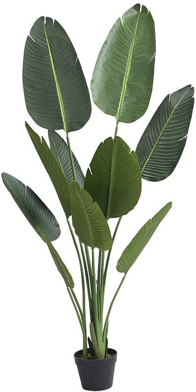 Vente-unique Artificiële bananenboom met pot - H160 cm - Groen - NENDAZ