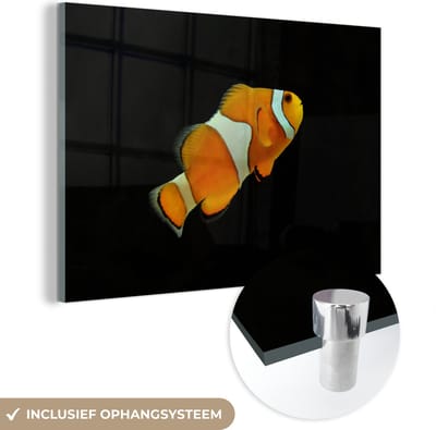 MuchoWow® Glasschilderij 120x80 cm - Schilderij acrylglas - Vis - Lijn - Zwart - Foto op glas - Schilderijen