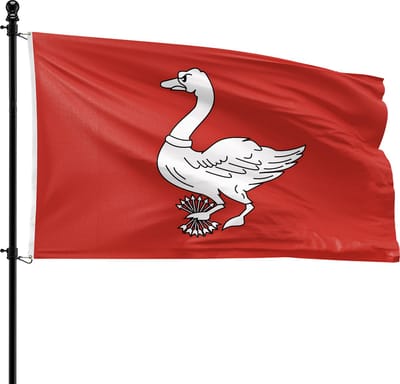 VlagDirect - Landsmeer vlag - Gemeente Landsmeer vlag - 90 x 150 cm.