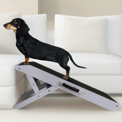 Hondentrap - Hondentrapje voor grote en kleine honden - Instelbaar 18 tot 53 cm - Voor Bed en Bank - Berkenhout - Landingsplatform sluit naadloos aan - Loopplank Hond Opvouwbaar - Kustgrijs - Veilig en Stevig