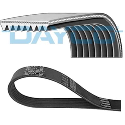 Poly V-riem DAYCO 8PK1215HD