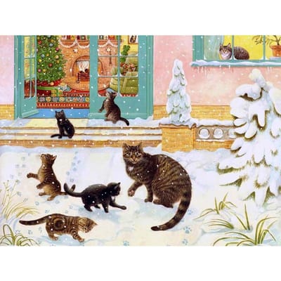 5D DIY Diamond schilderij katten borduurwerk mozaïek kruissteek strass decoratie 20X30CM beige
