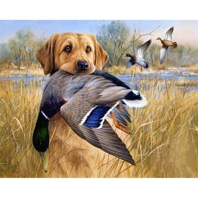 Diamant borduurwerk hond jacht eend kruissteek DIY diamant schilderij diamant mozaïek steentjes 20X30CM gray
