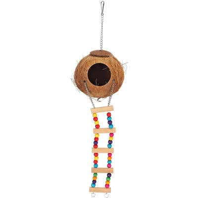 Noix de Coco Husk Perroquet Oiseaux Nid Balançoire Lit Grotte Jouets avec Échelle Naturel Maison Heureuse Fourniture pour Animaux de Compagnie brown