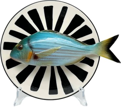 Orata op een wit bord met zwarte decoratieve strepen, 20cm.