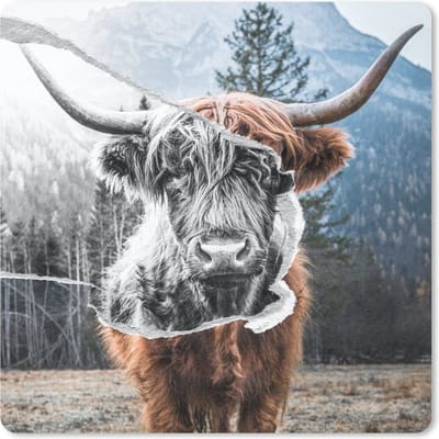 Muismat 20x20 cm - Mousepad Dieren - Schotse Hooglander - Stier - Muismatten