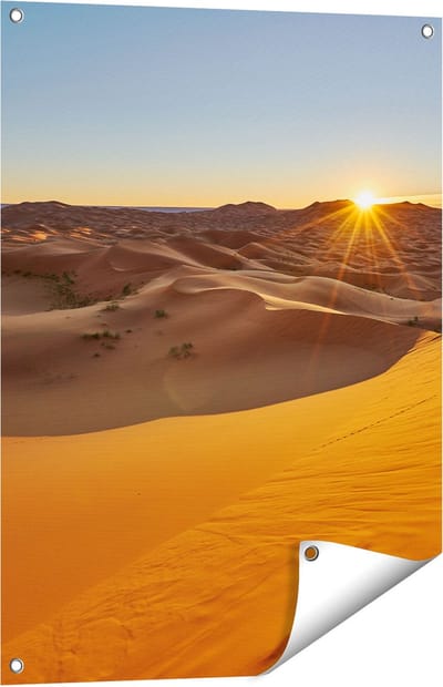 Gards Tuinposter Woestijn in de Sahara met een Opkomende Zon - 60x80 cm - Tuindoek - Tuindecoratie - Wanddecoratie buiten - Tuinschilderij