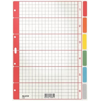 LEITZ® karton indexbladen, gebruik naar eigen inzicht, met rasterprint