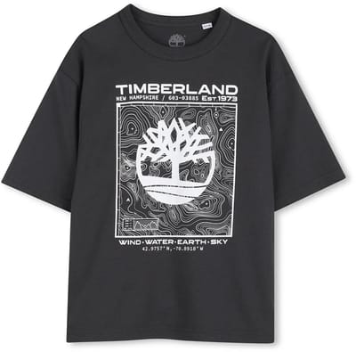 Timberland T60794 T-shirt Met Korte Mouwen Grijs 12 Years Jongen
