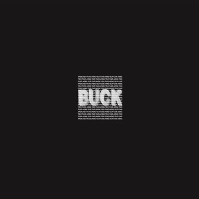 Buck - Among Your Fears (LP)