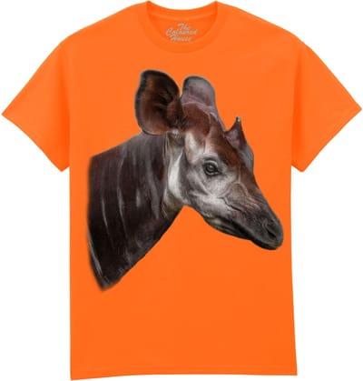 The Elusive Okapi The Coloured House T-shirt M