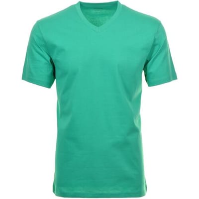 Ragman T-Shirt Uni V-Neck Single Jersey Groen / male