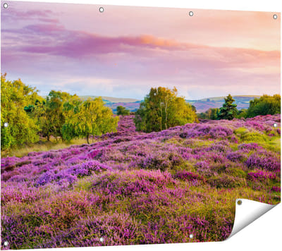 Gards Tuinposter Paarse Weide - 120x90 cm - Tuindoek - Tuindecoratie - Wanddecoratie buiten - Tuinschilderij