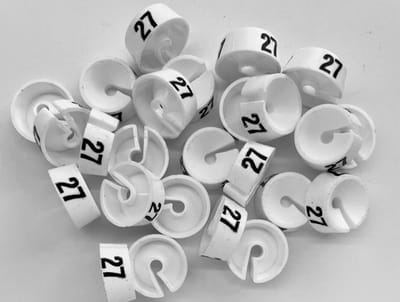 Bleijenberg Maatdopje maat 27 wit - Maataanduiding voor kledinghangers per 25 stuks - Maatringetje Ø 20 mm - Kledinghangers - Kleerhanger - Kapstok - Mark-Brics - wisersizer